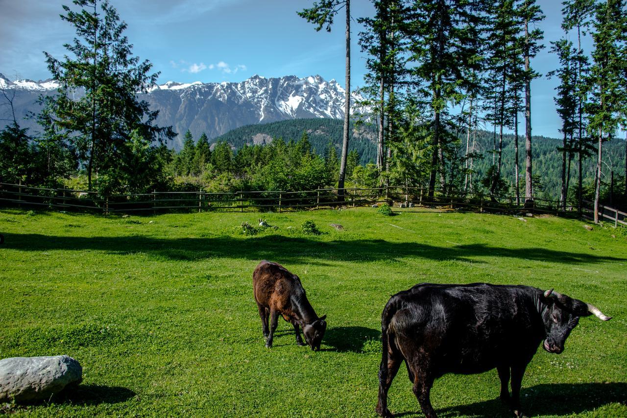 Sweetwater Lane Farm Villa Mount Currie Kültér fotó