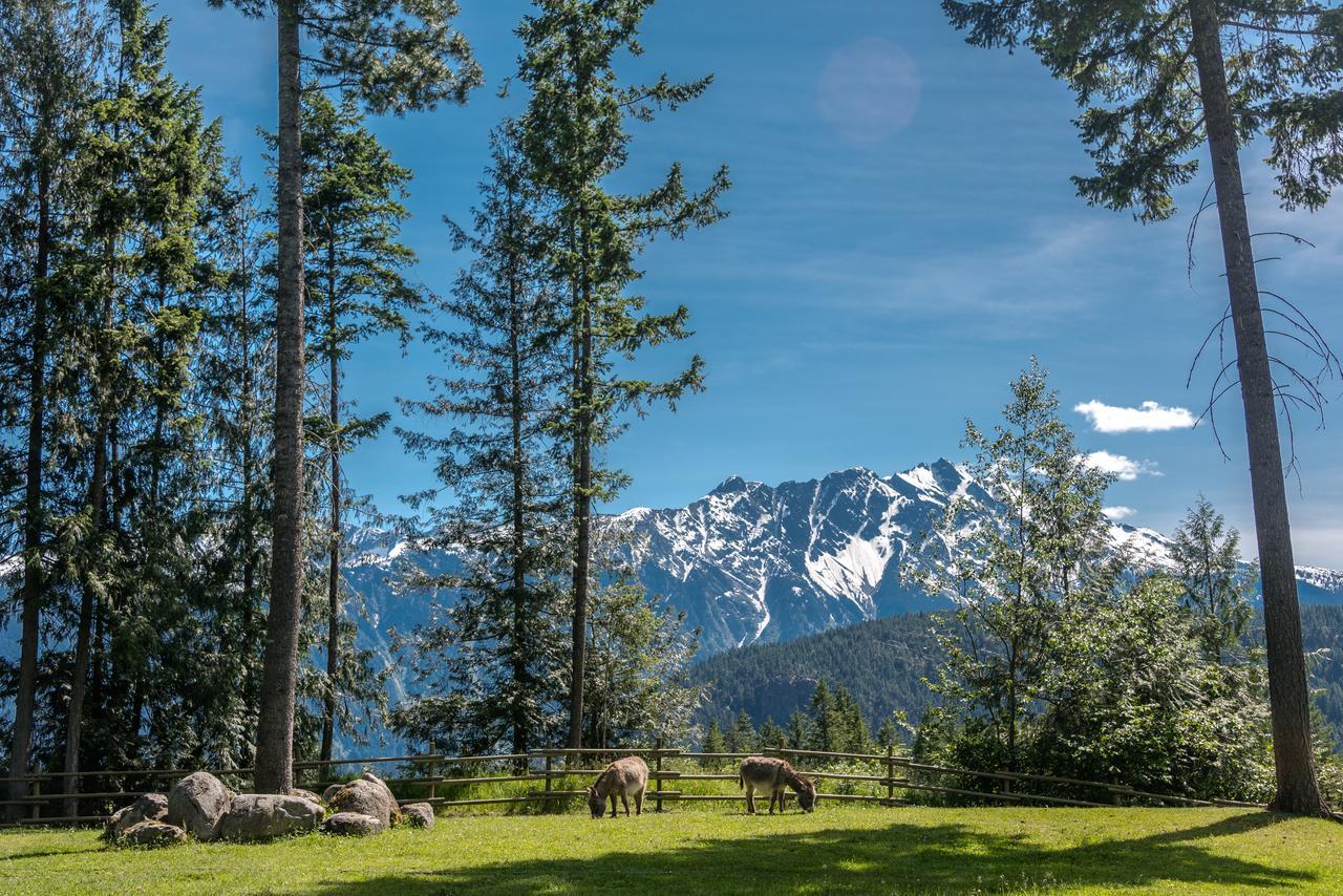 Sweetwater Lane Farm Villa Mount Currie Kültér fotó