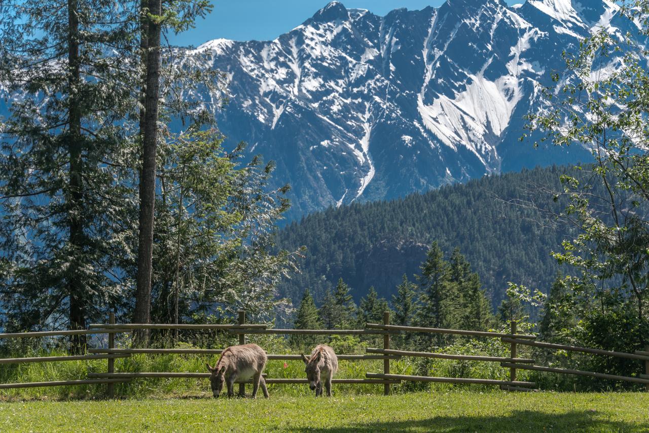 Sweetwater Lane Farm Villa Mount Currie Kültér fotó