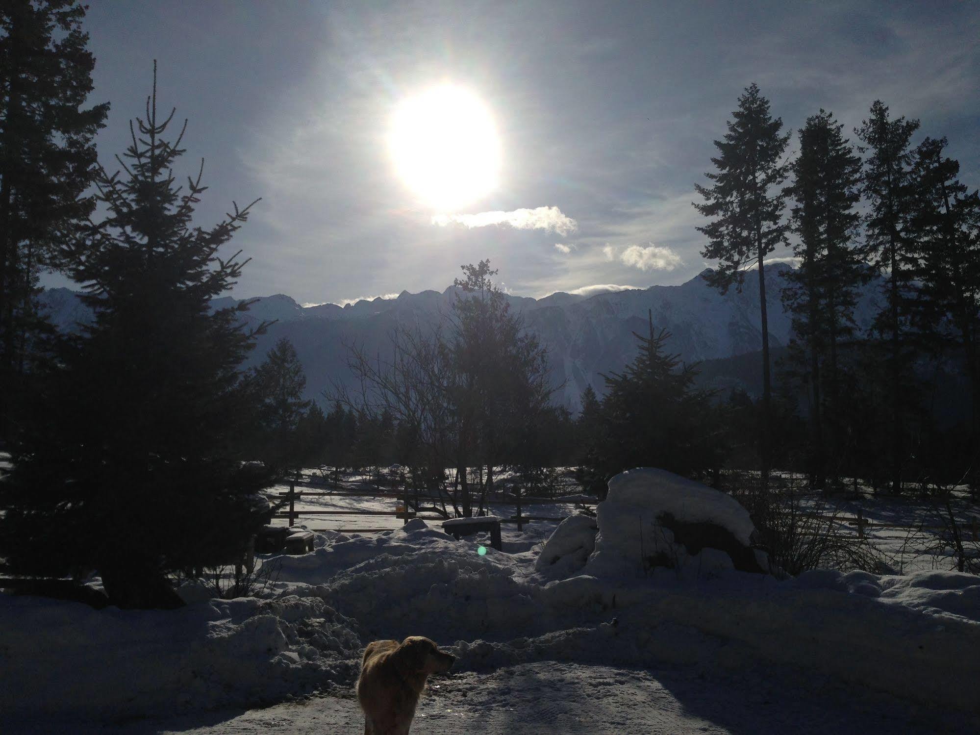 Sweetwater Lane Farm Villa Mount Currie Kültér fotó